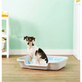 Dog Litter Box N320