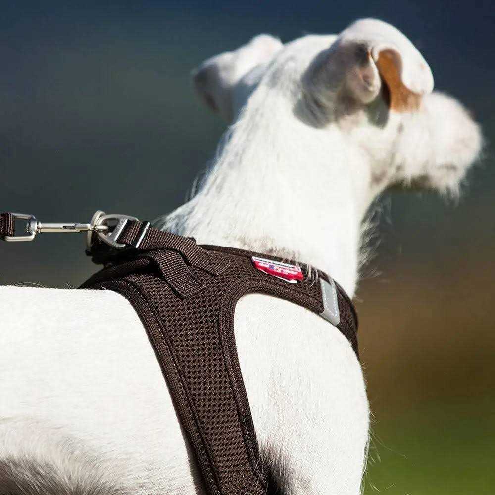 Air-Mesh Dog Harness S444