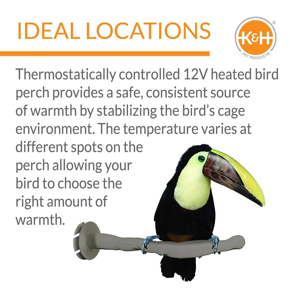 Bird Thermo-Perch W778