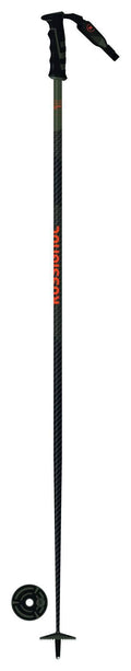 Ski Poles D450