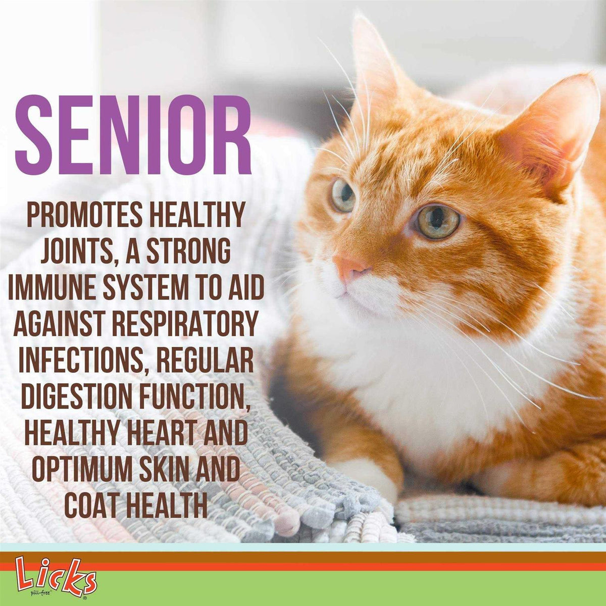 Senior Cat Joint Support & Digestion Supplement R3597