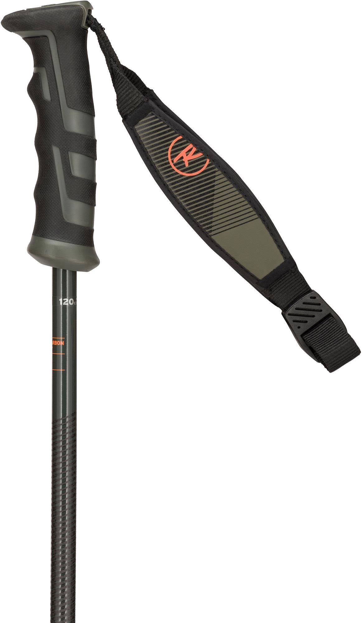 Ski Poles D450