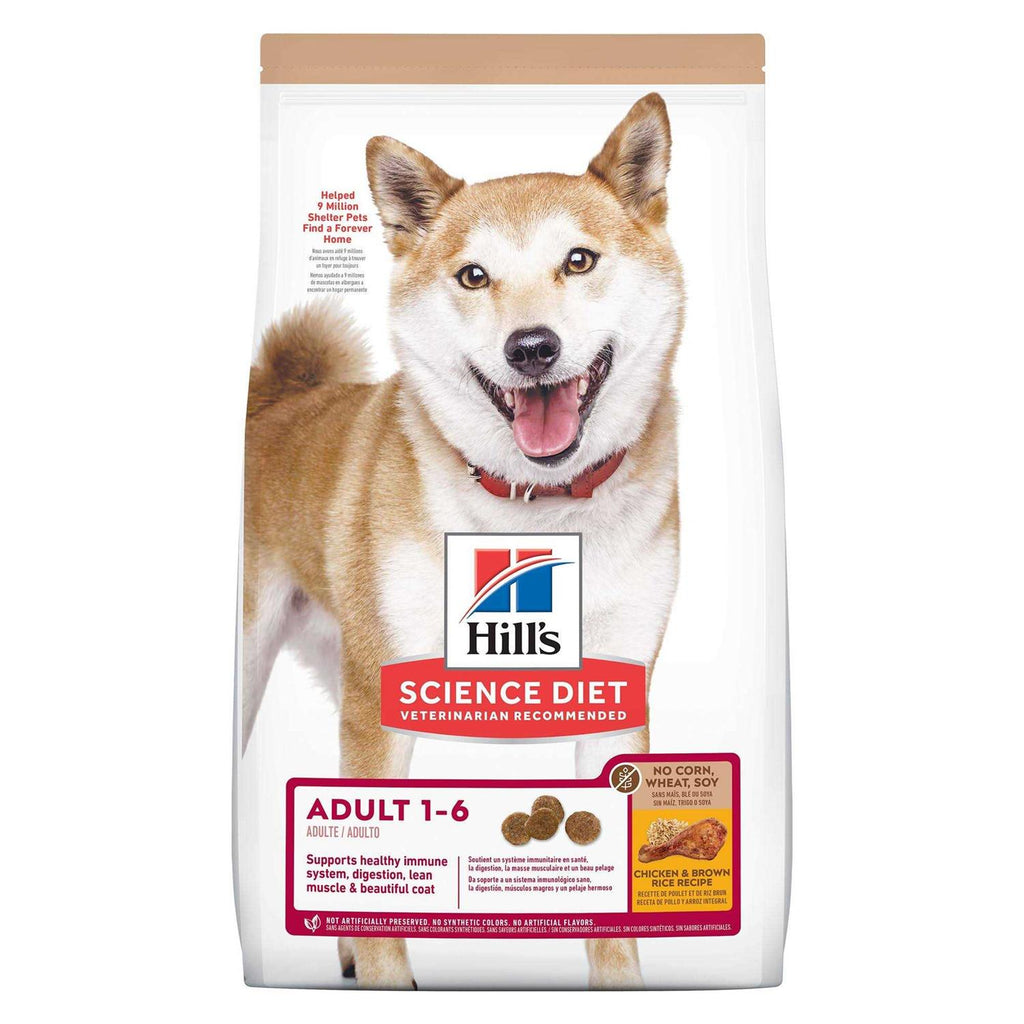 Chicken Dry Dog Food Y8597