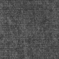 Gray 6 Feet x 15 Feet Indoor Outdoor Carpet with Rubber Backing S36544