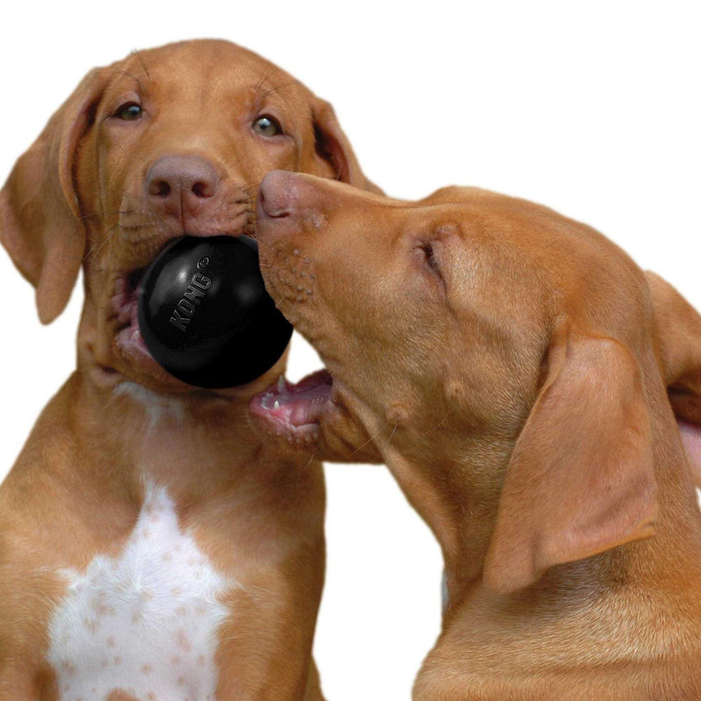 KONG Ball Dog Toy J7506