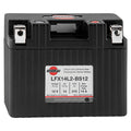 Lithium-Iron Battery P874079