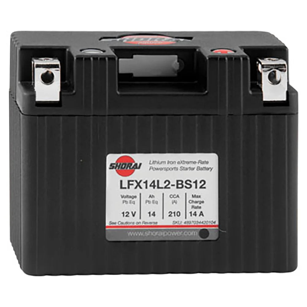 Lithium-Iron Battery P874079