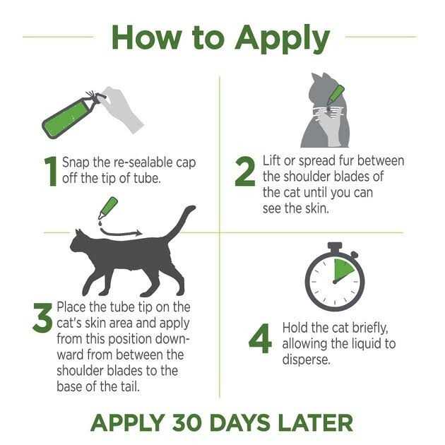 Flea & Tick Topicals for Cats A3386
