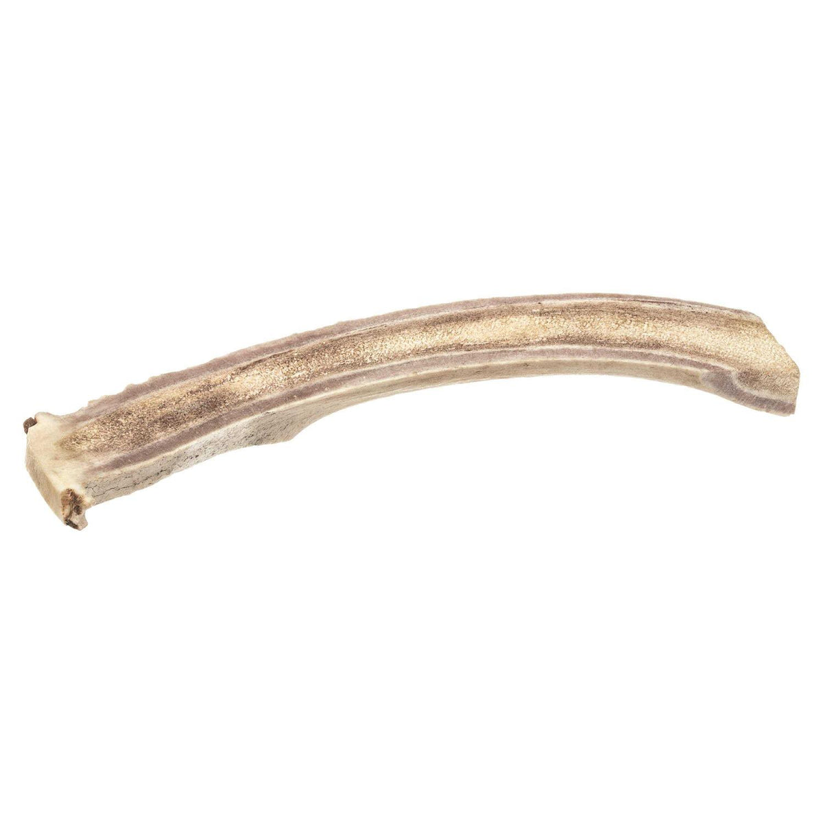 Deer Antler Z6353