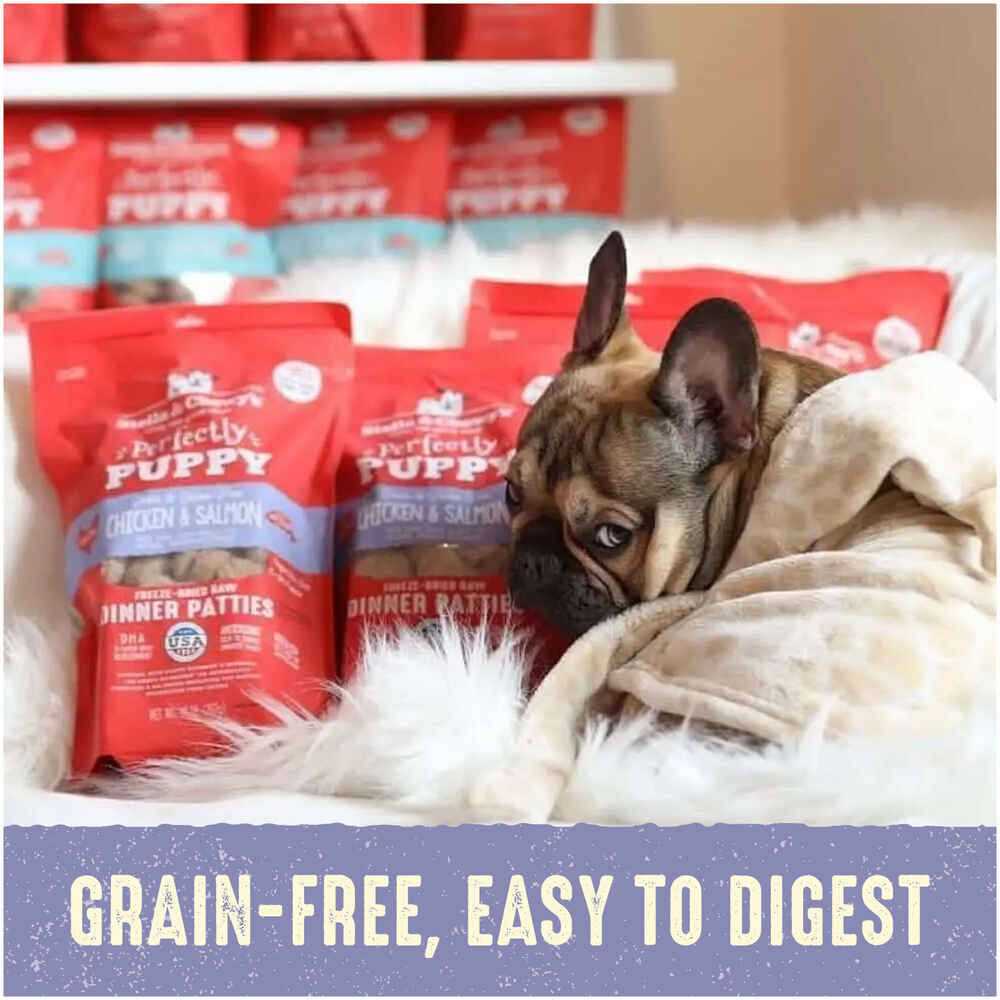Freeze-Dried Raw Dog Food Salmon Patties M618