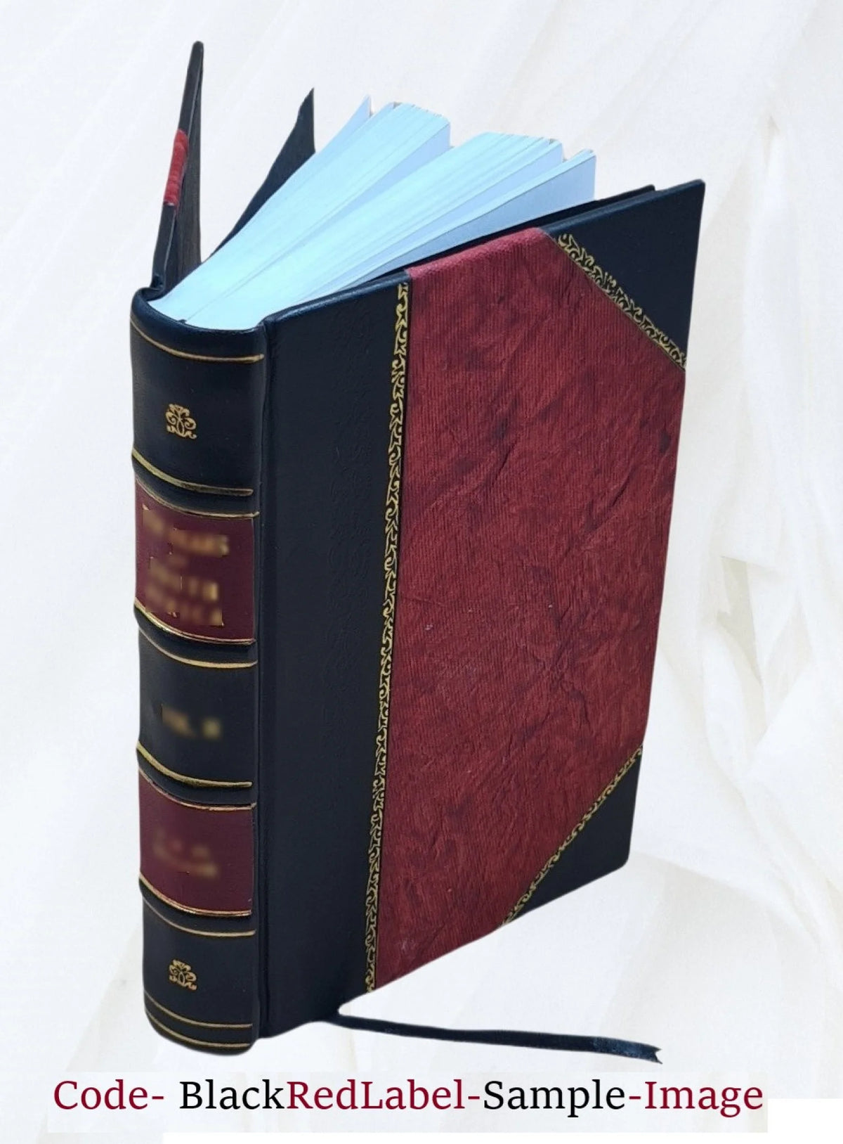 American rejected addresses, now first published from the original mauscripts 1855 L581