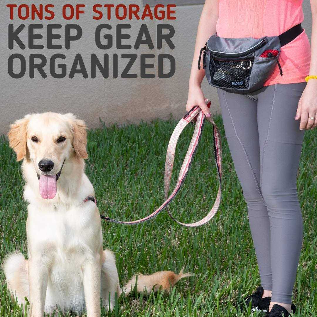 Dog Treat Training Pouch with Waste Bag Dispenser T580