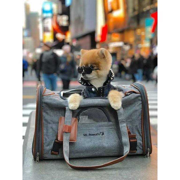 Expandable Airline Approved Pet Carrier K94617